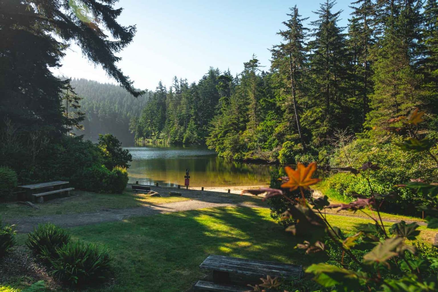 Top 10 Hikes Around Reedsport