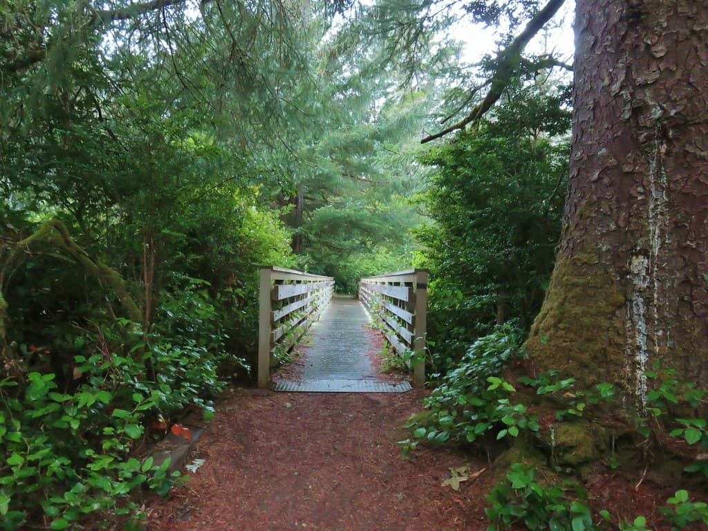 8 Short hikes in and around Reedsport