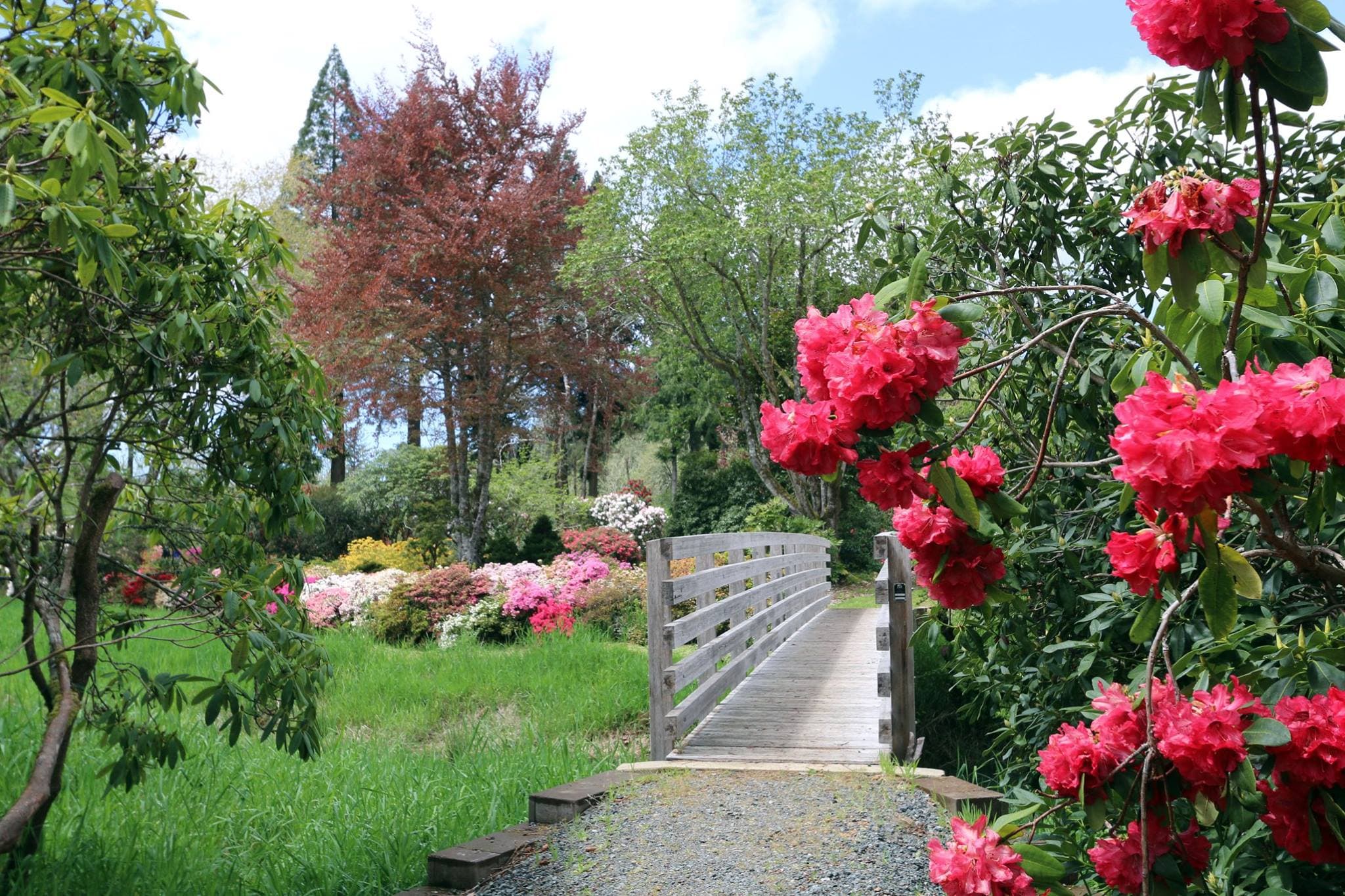 A Perfect Weekend in Reedsport