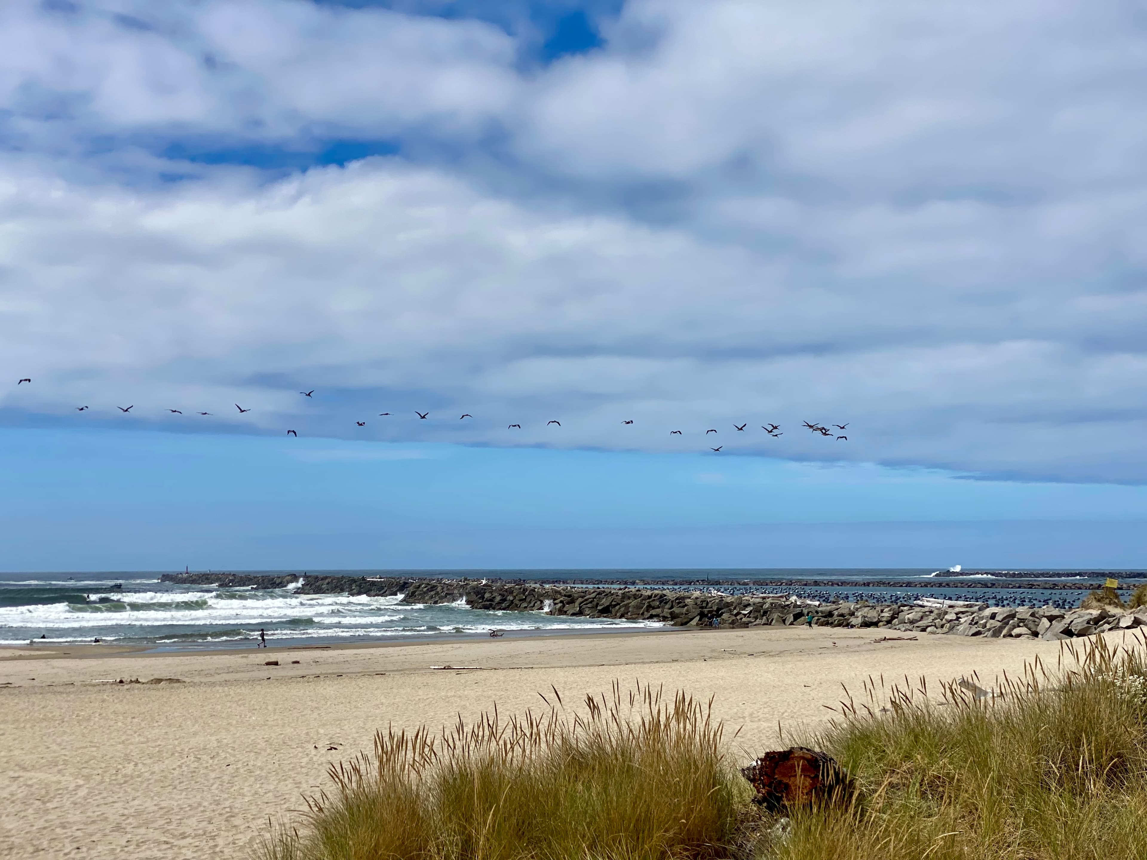 The Outdoor Lover's Guide to Reedsport